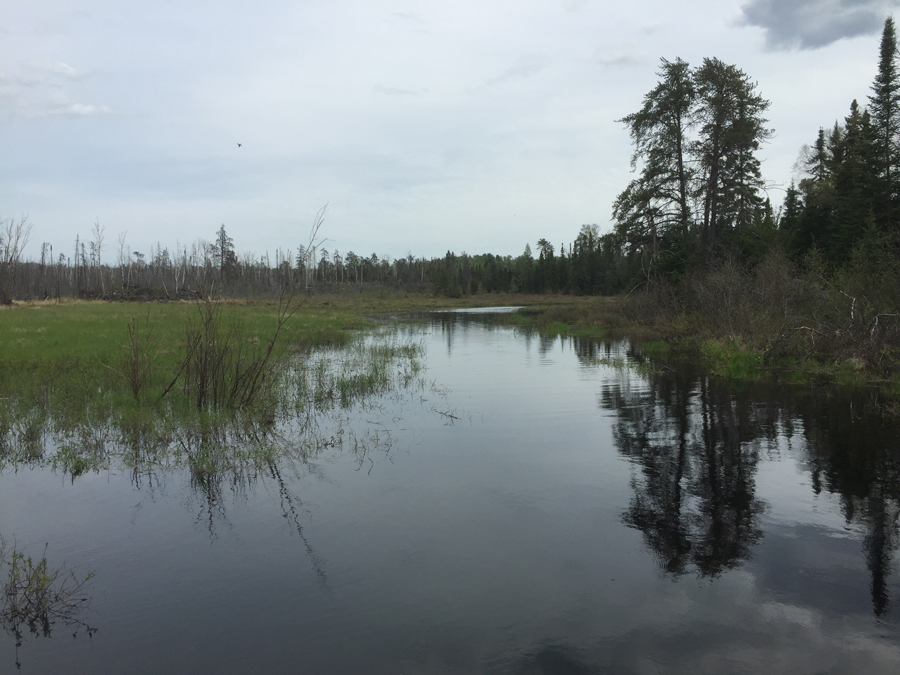 Kawishiwi River just downstream of Square Lake in BWCA